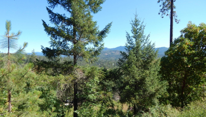 635 Sarma Dr, Shady Cove, OR 97539