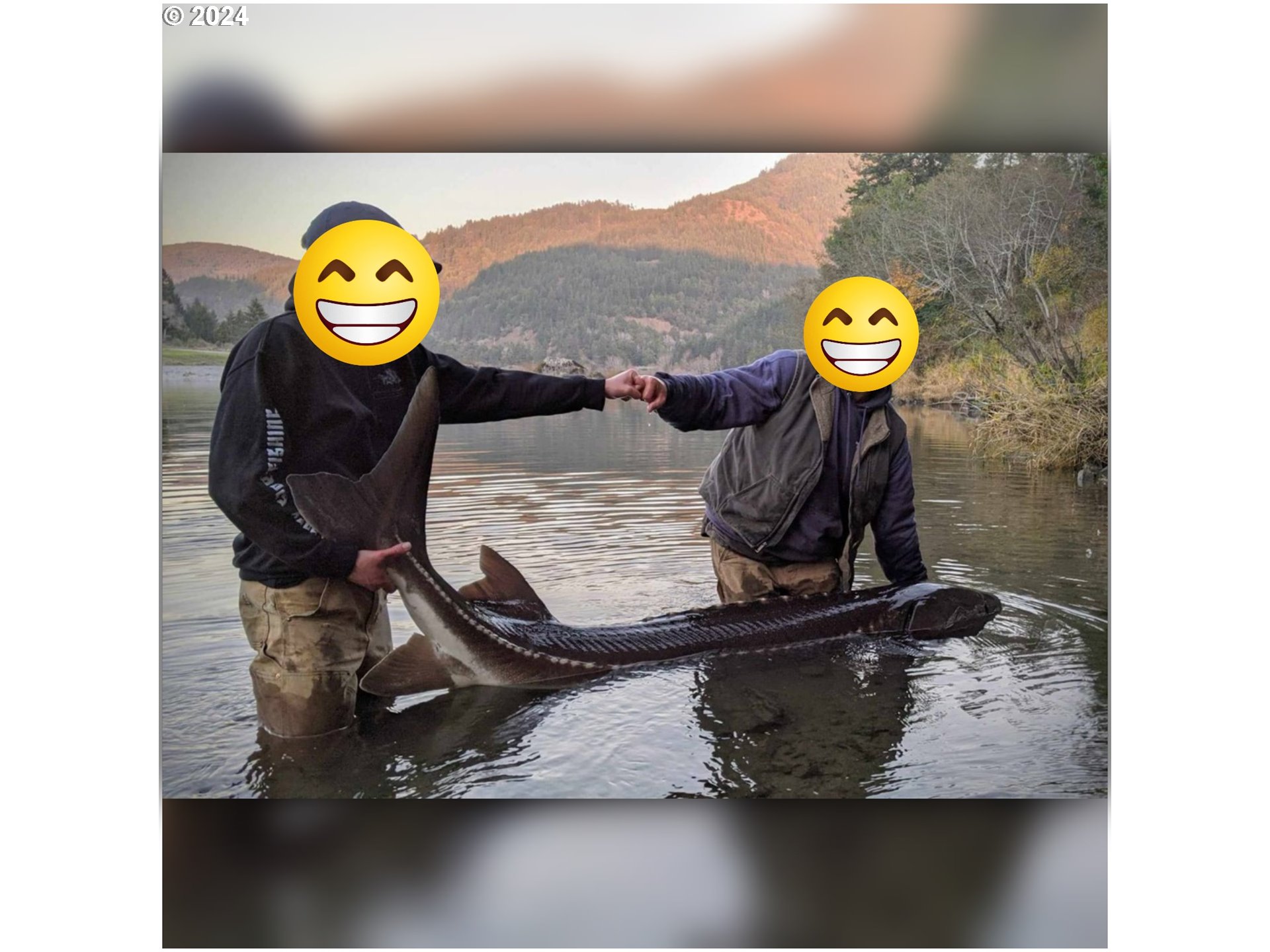 97031_Jerrys_Flat_48