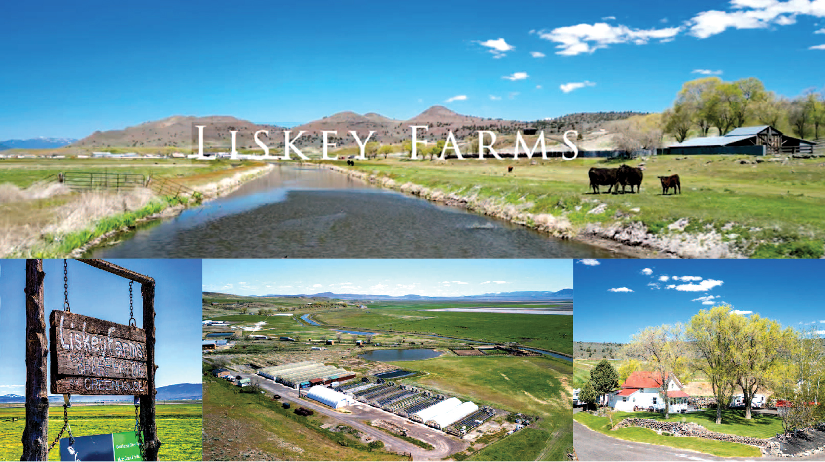 Liskey-farms_00-28-6