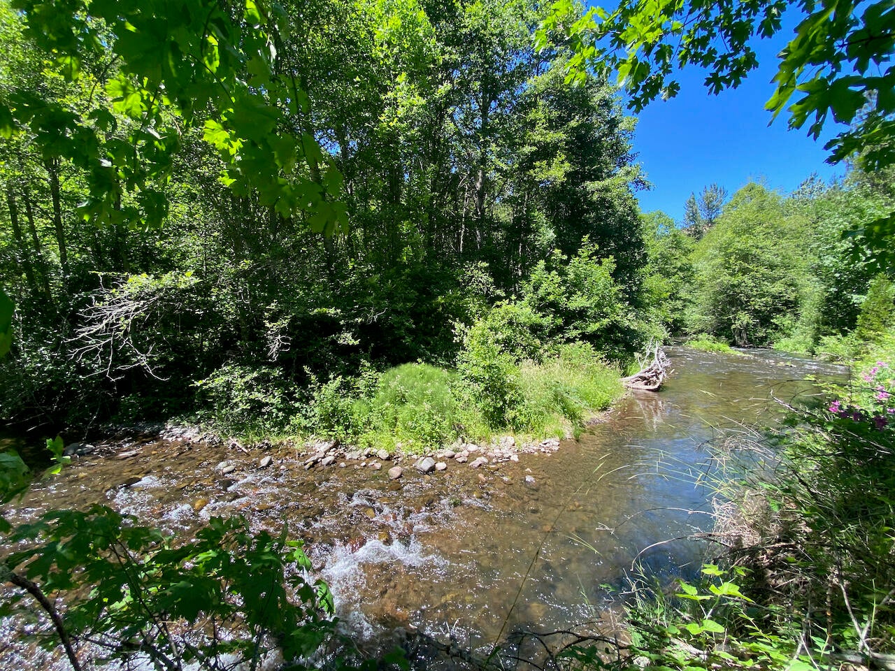 0-SF-Little-Butte-Creek-Road_02