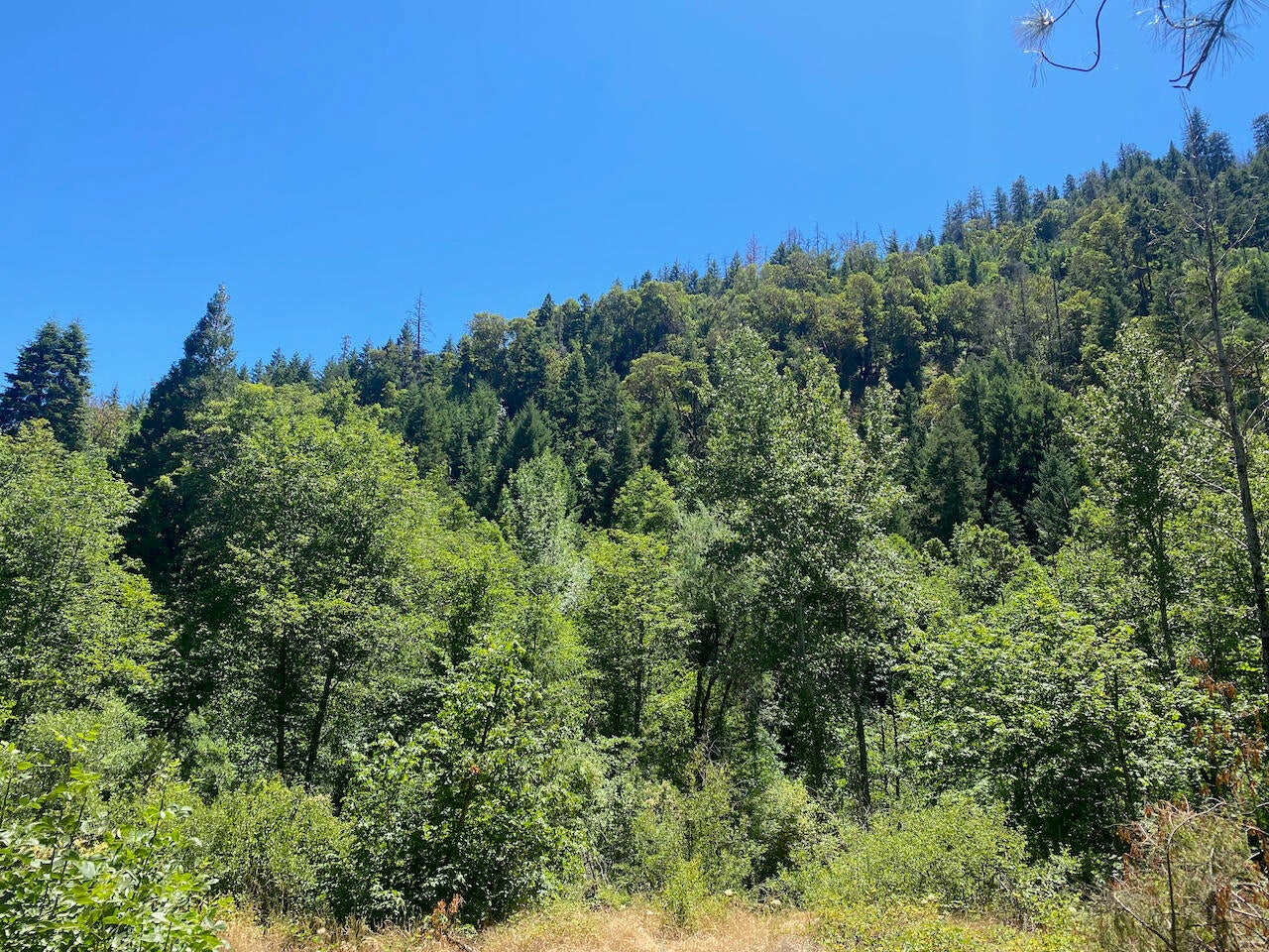 0-SF-Little-Butte-Creek-Road_12