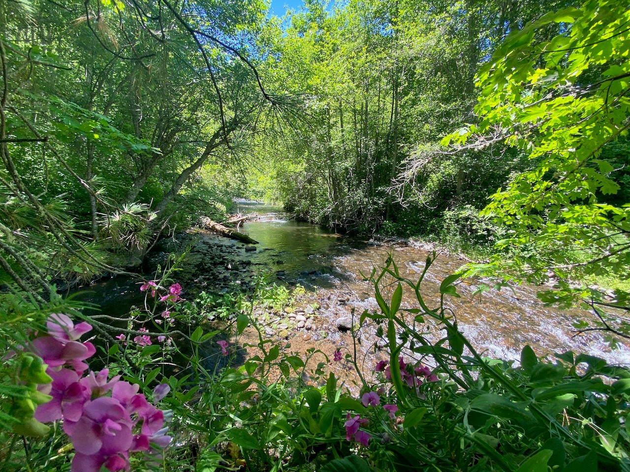 0-SF-Little-Butte-Creek-Road_14-Stream-best