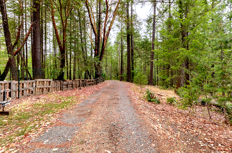 19721-Redwood-Highway_29