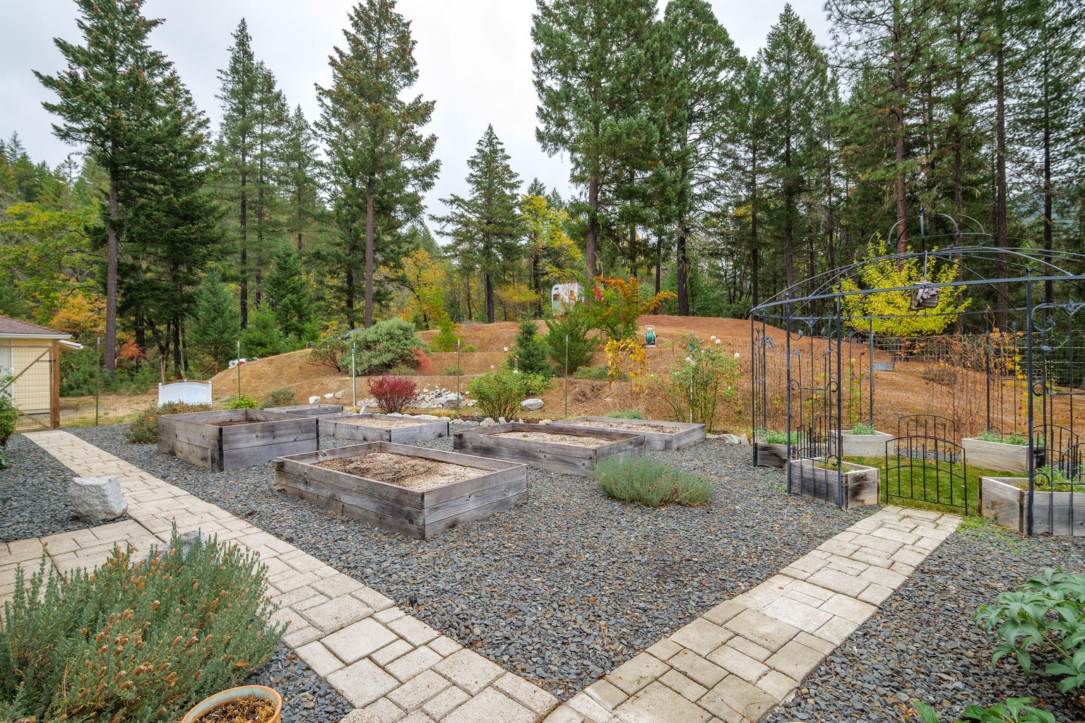 20241027043431186545000000-o