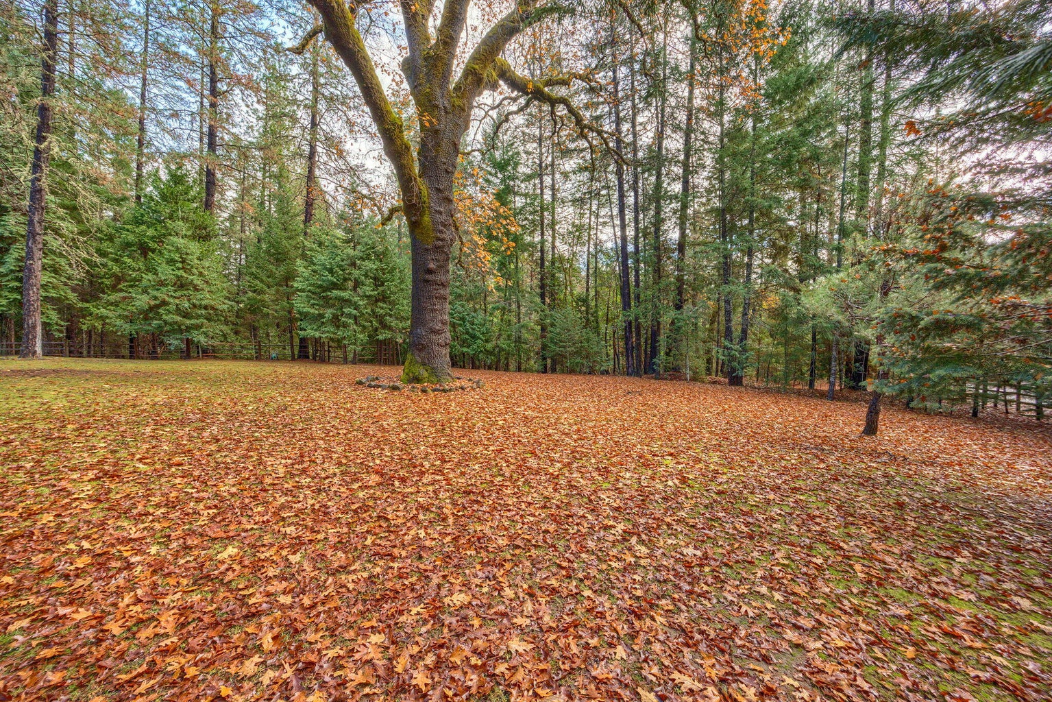 20241129201855369912000000-o