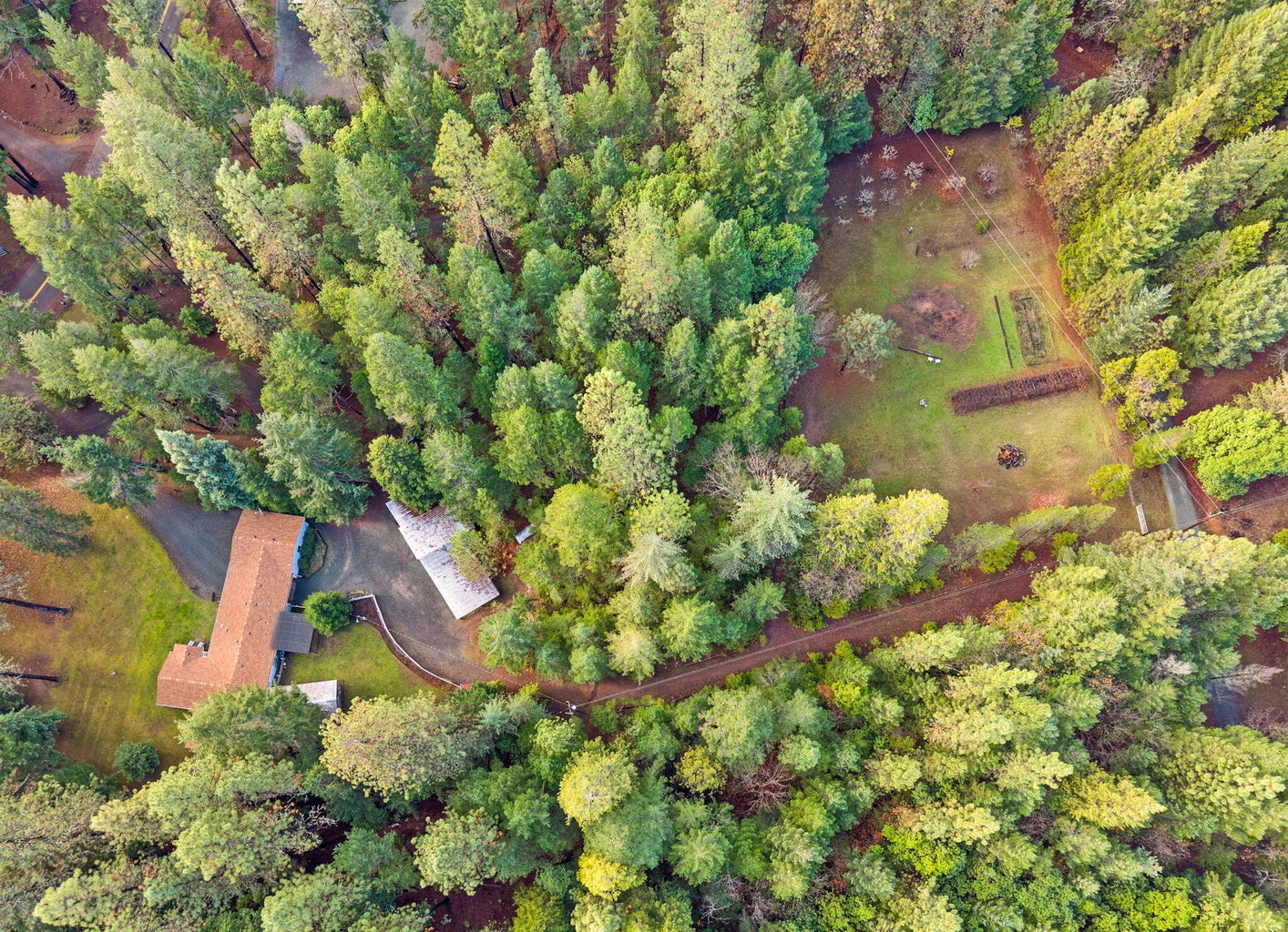 20241129201917489612000000-o