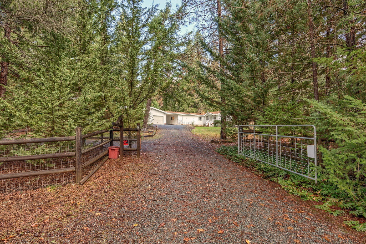 20241201011534982955000000-o