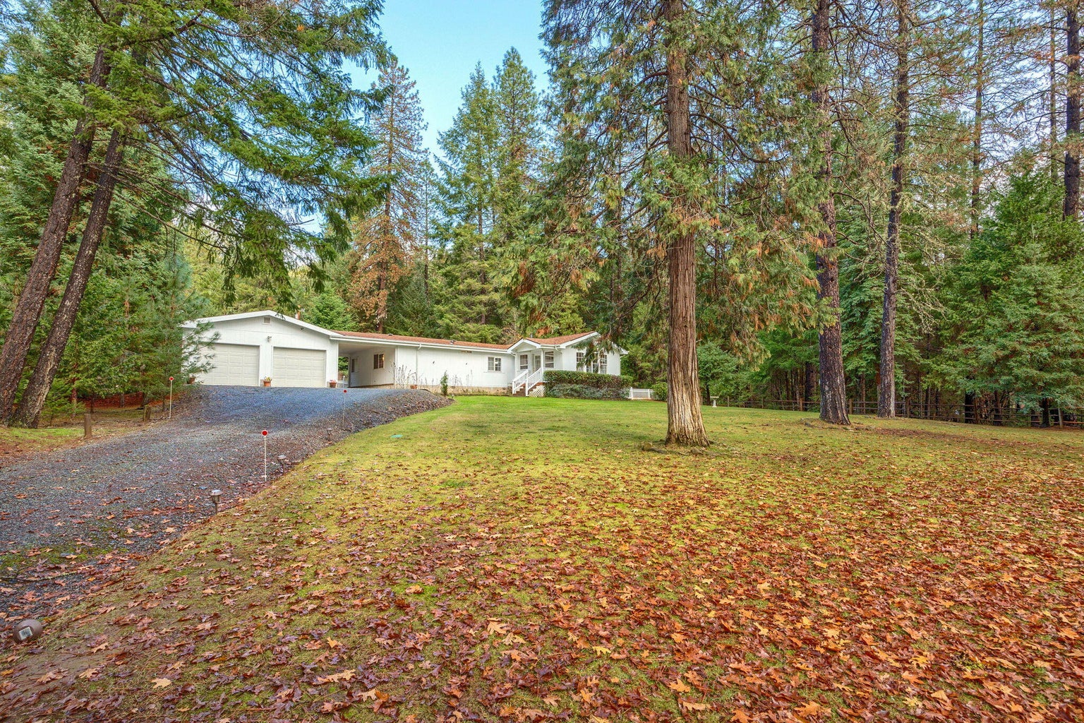 20241201011629215058000000-o