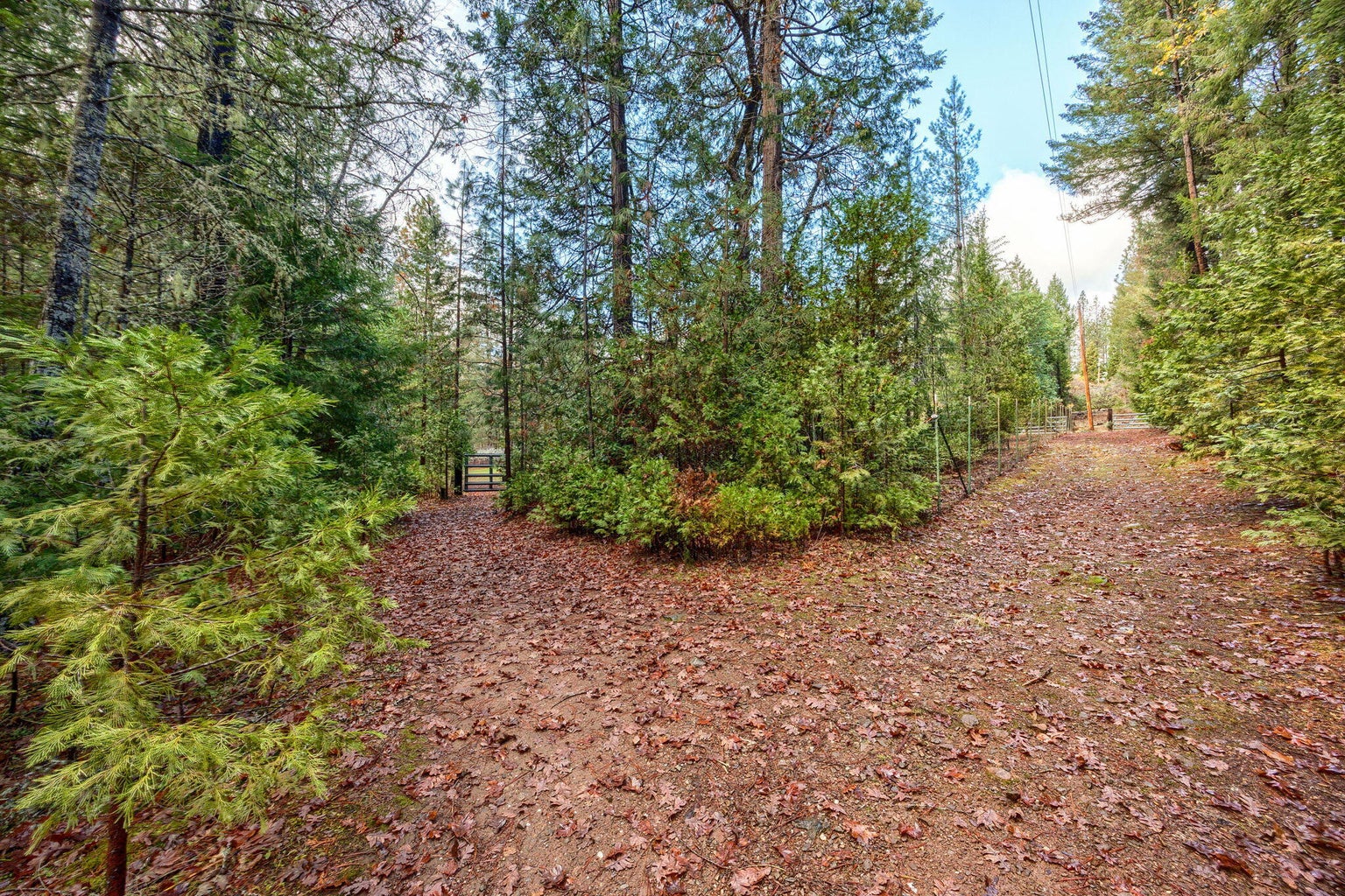 20241201012201412561000000-o