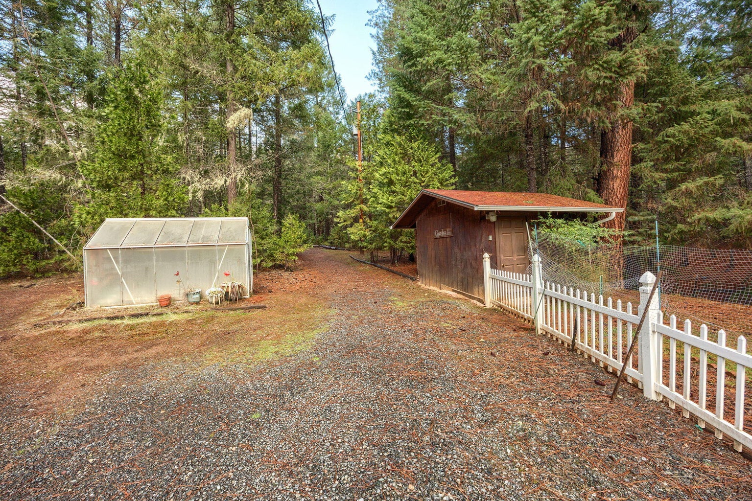 20241201012220770963000000-o