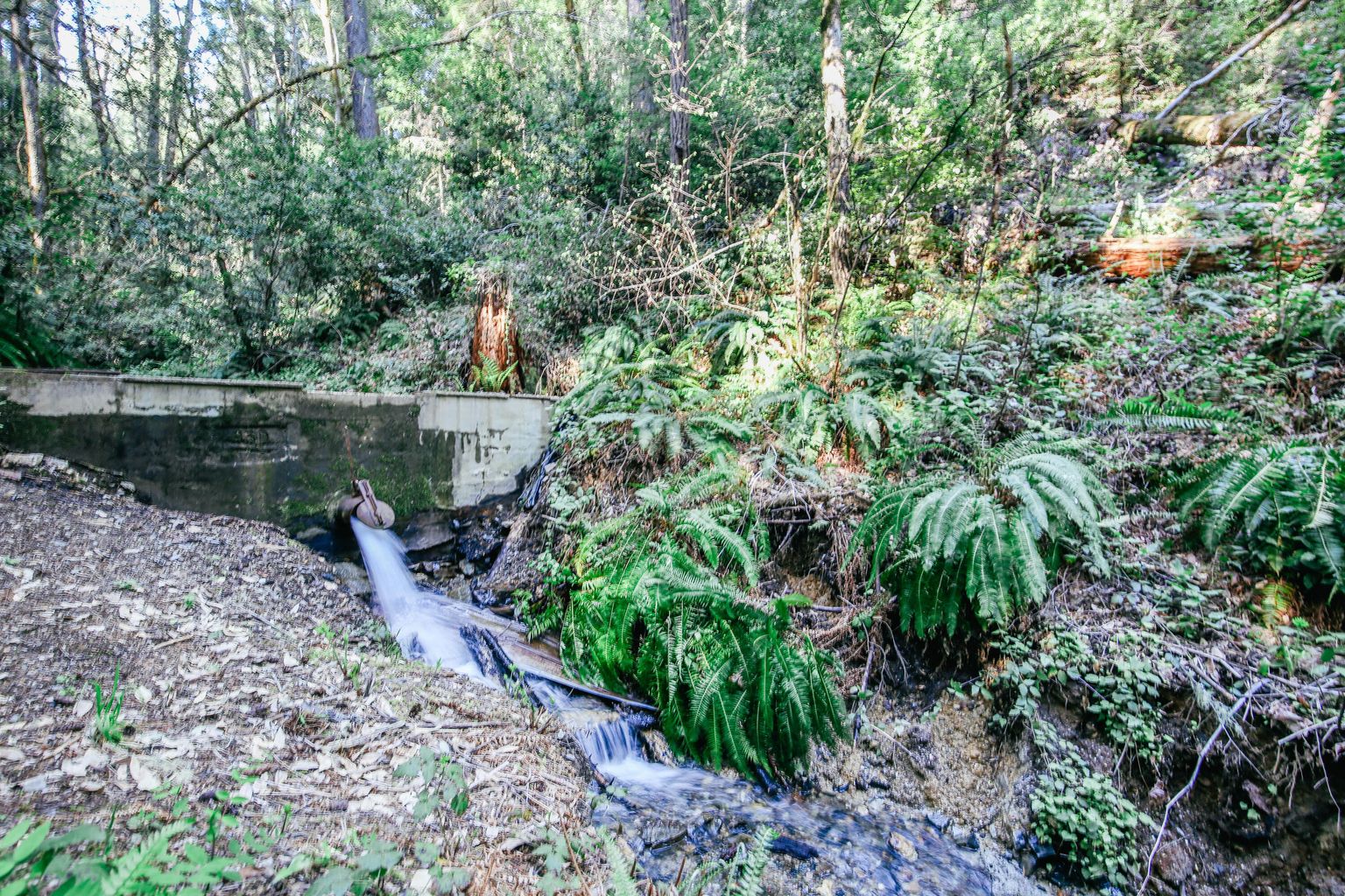 4884_Lower_Grave_Creek_Rd-32