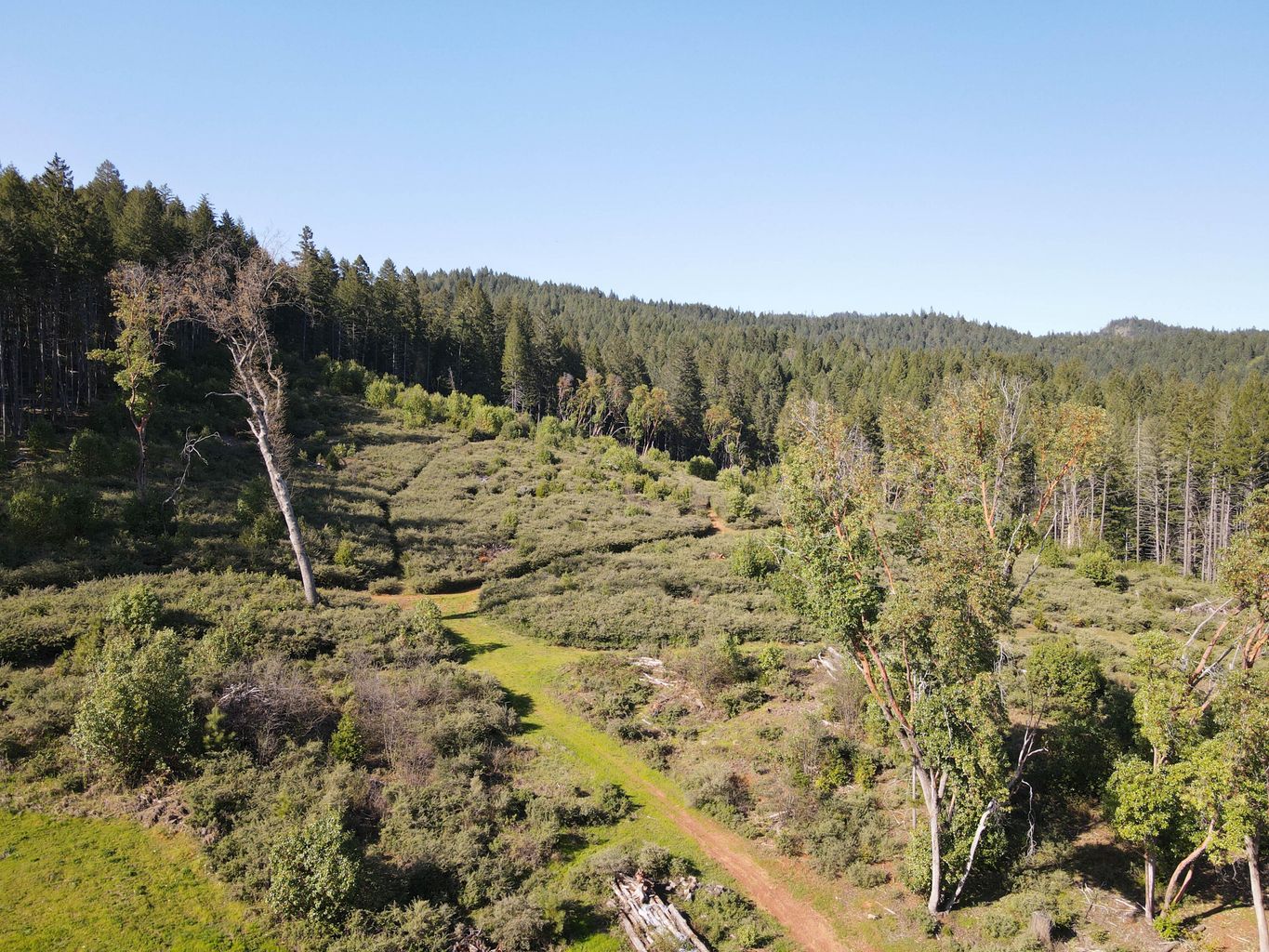 4884_Lower_Grave_Creek_Rd-48
