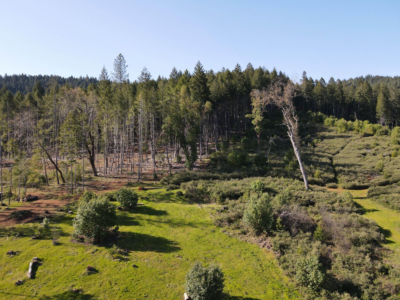 4884_Lower_Grave_Creek_Rd-49