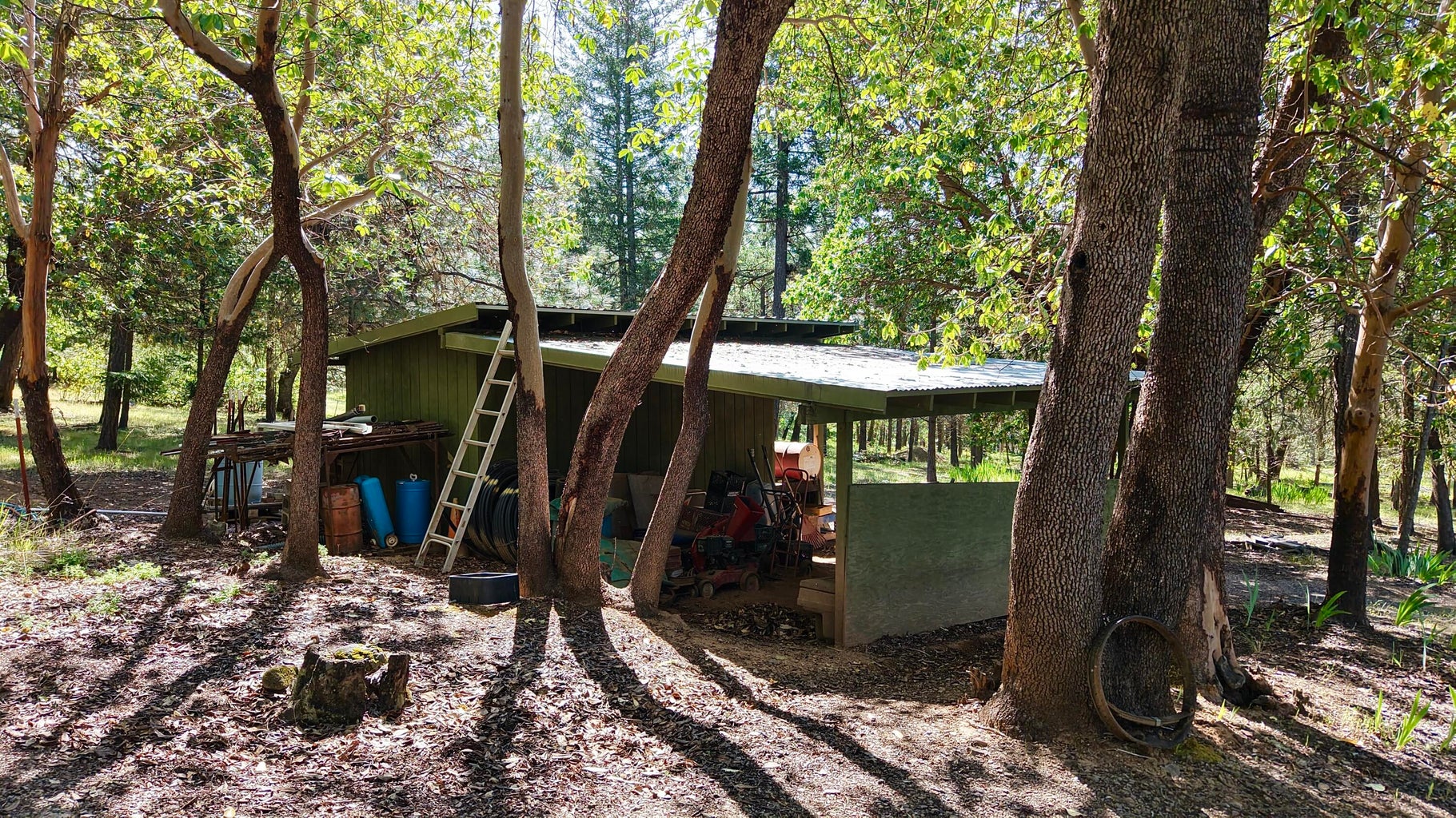 13007 Perry Rd-05