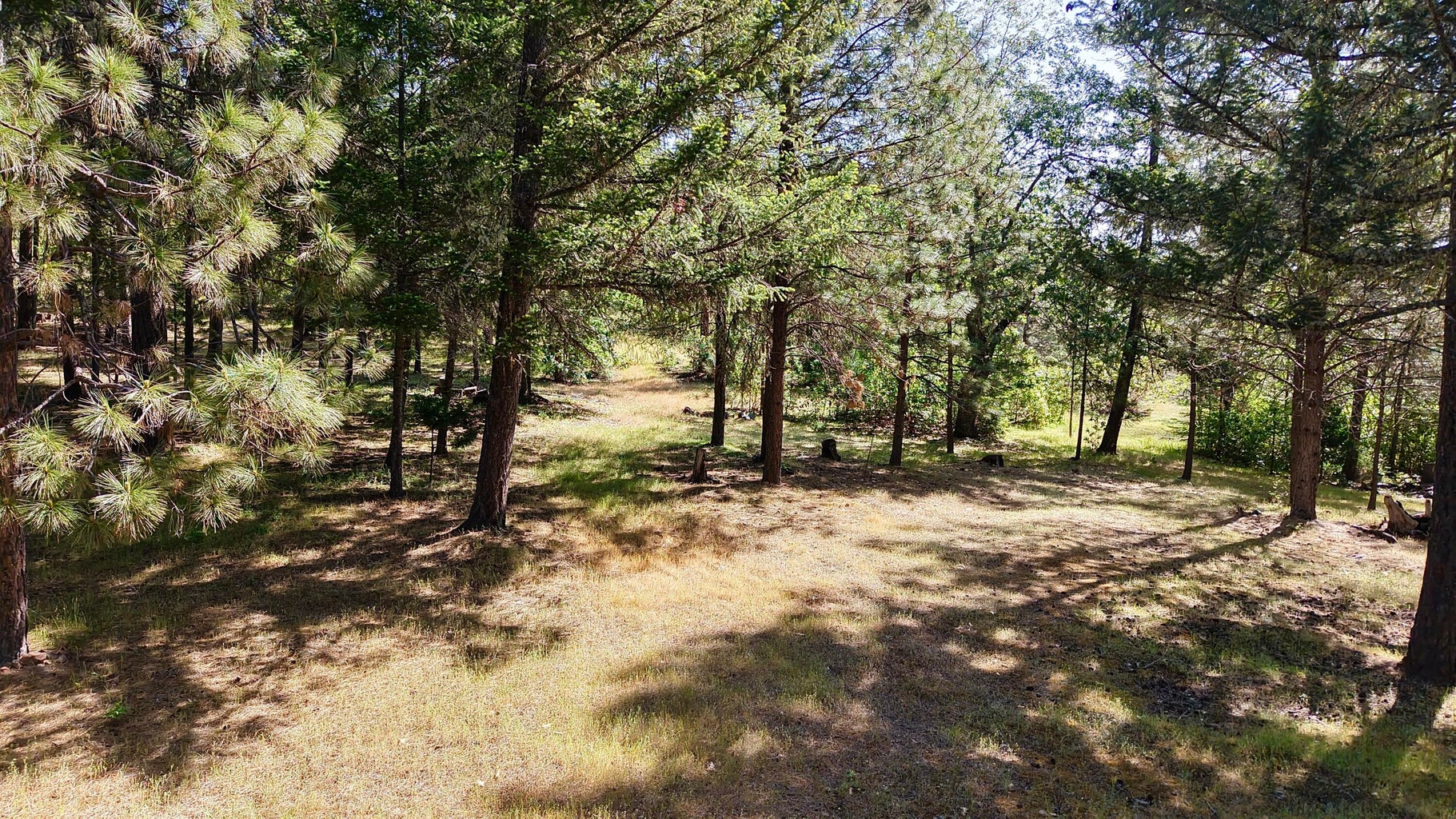 13007 Perry Rd-07