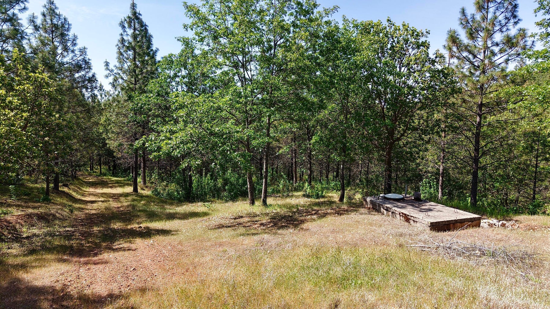 13007 Perry Rd-08