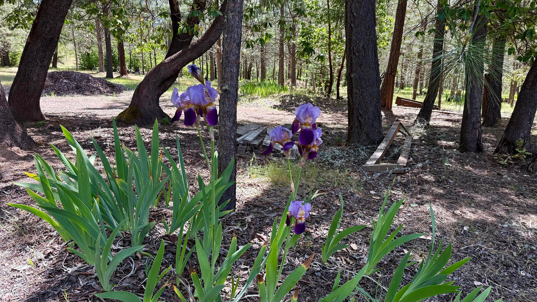 13007 Perry Rd-25