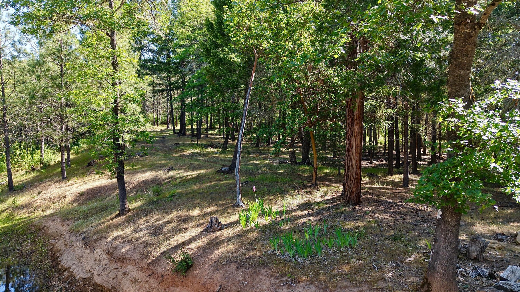 13007 Perry Rd-29