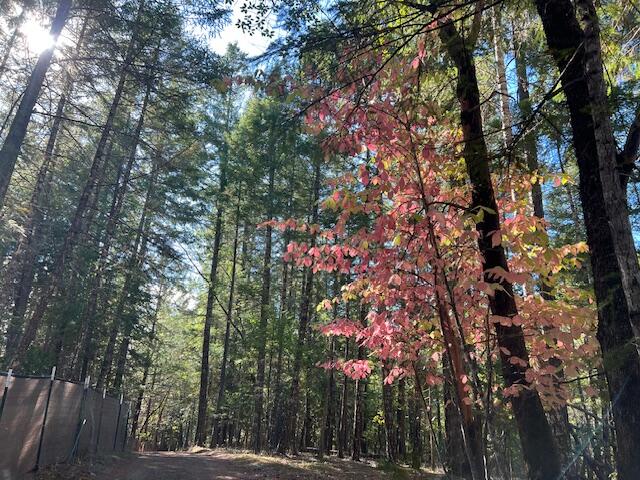 20251023212624480341000000-o