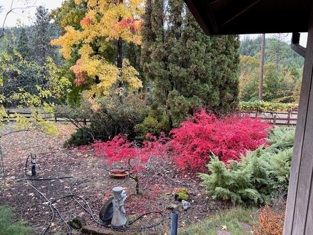 20251028193317065788000000-o