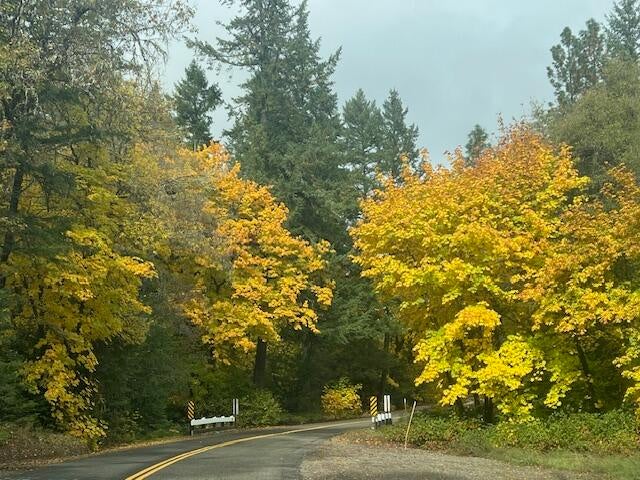 20251028193417643317000000-o