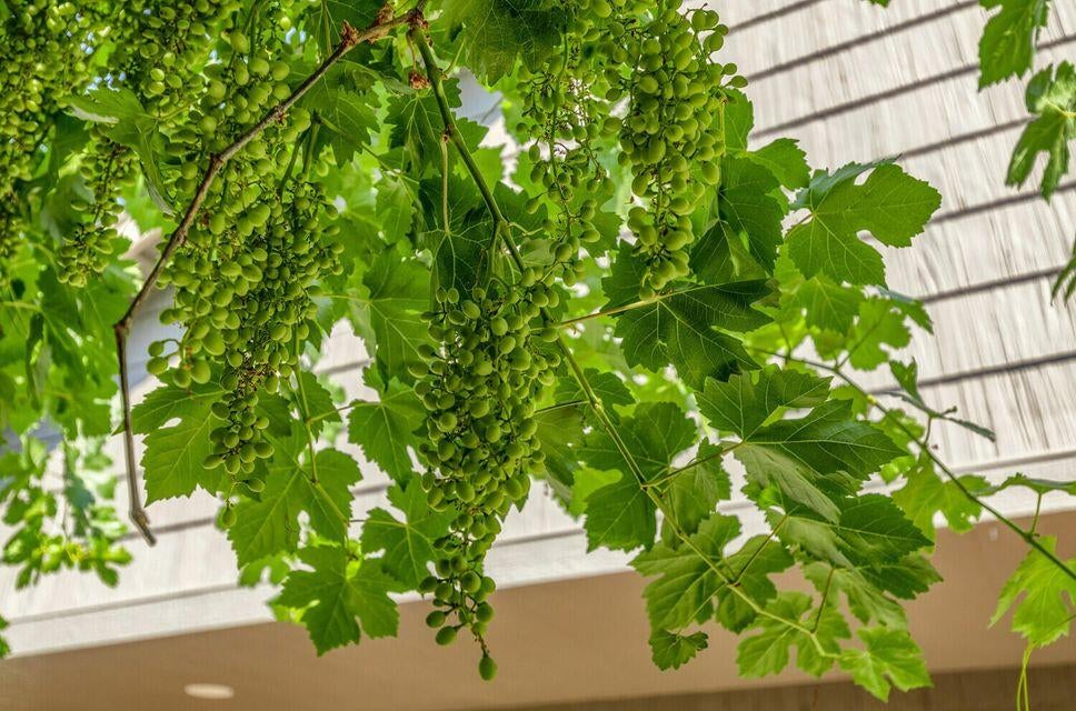 335 Meadow Slope Dr-17