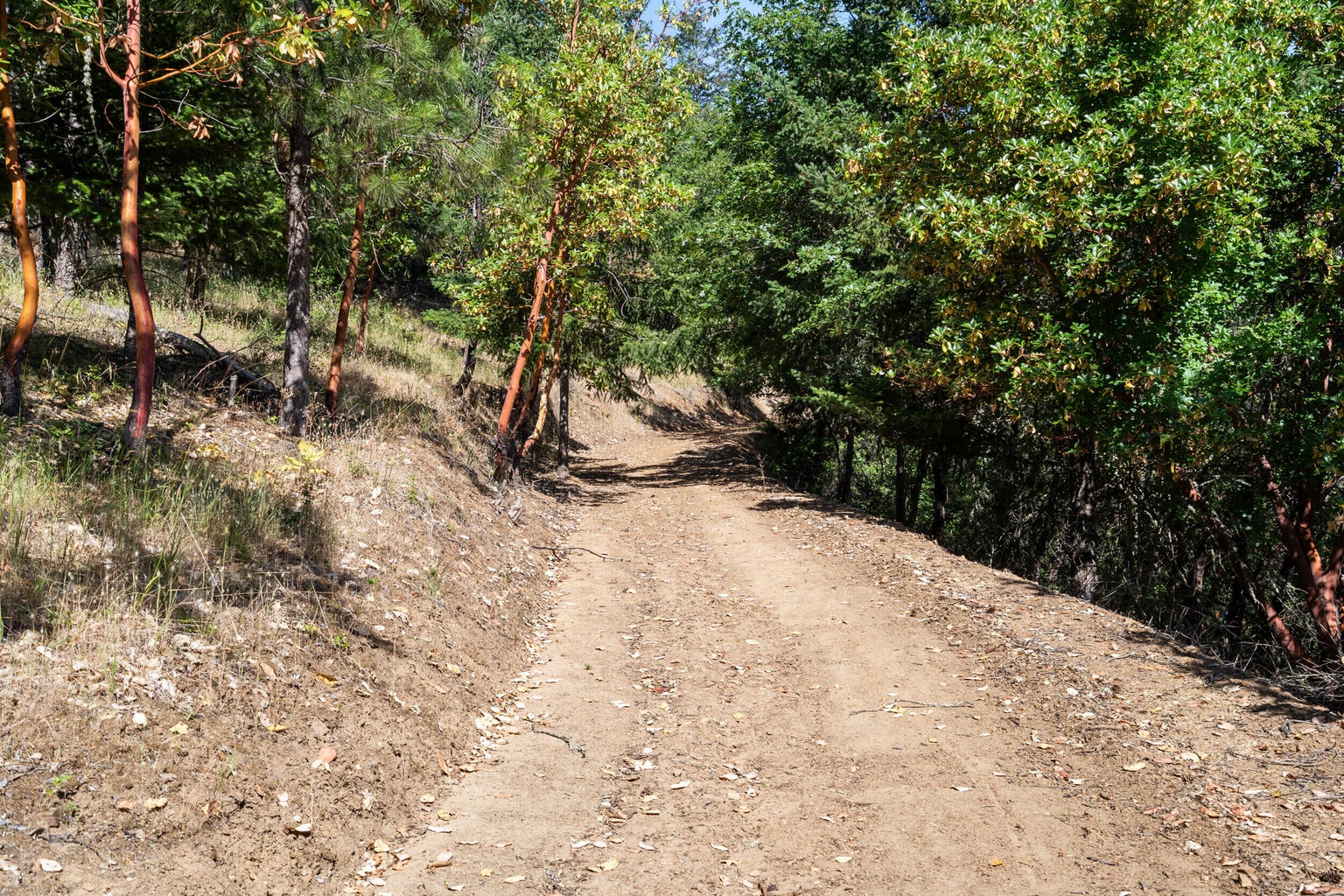 3039 Pearce Park Rd-02