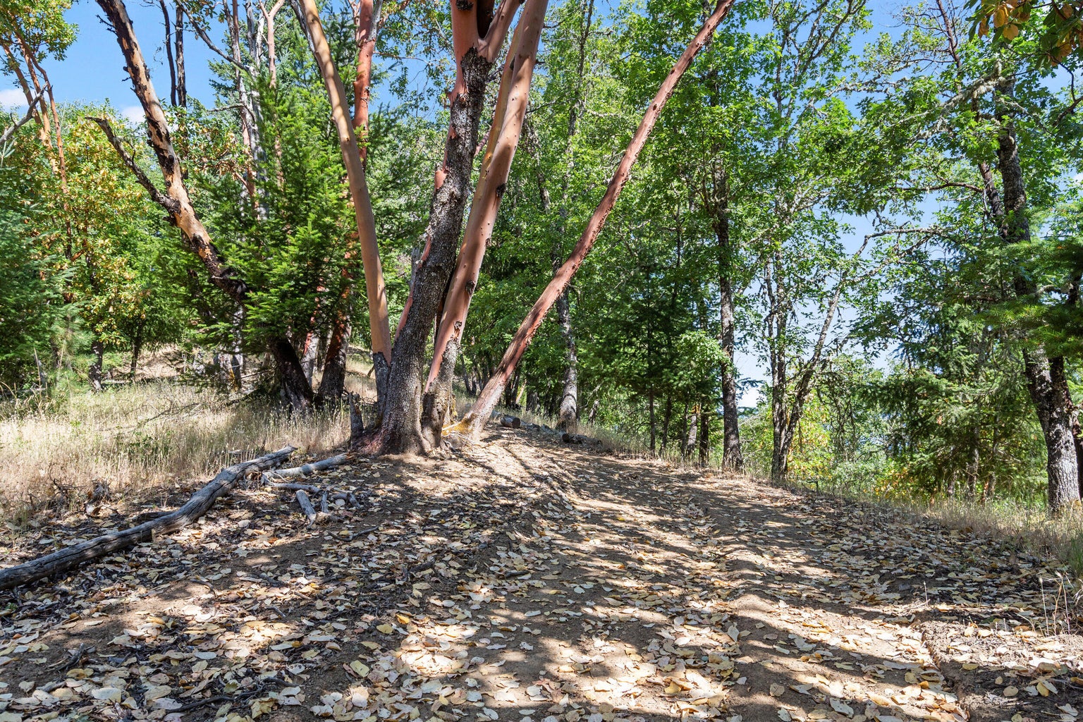 3039 Pearce Park Rd-03