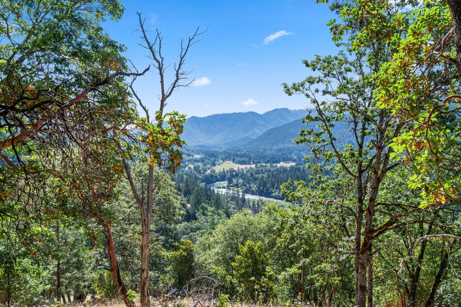 3039 Pearce Park Rd-05