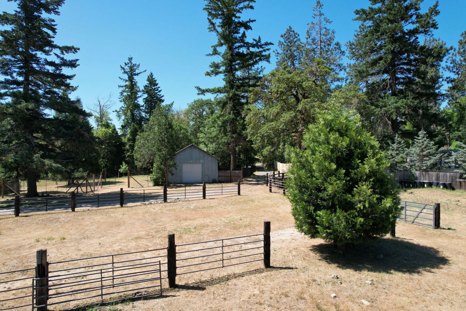 199_Powell_Creek_Rd-04