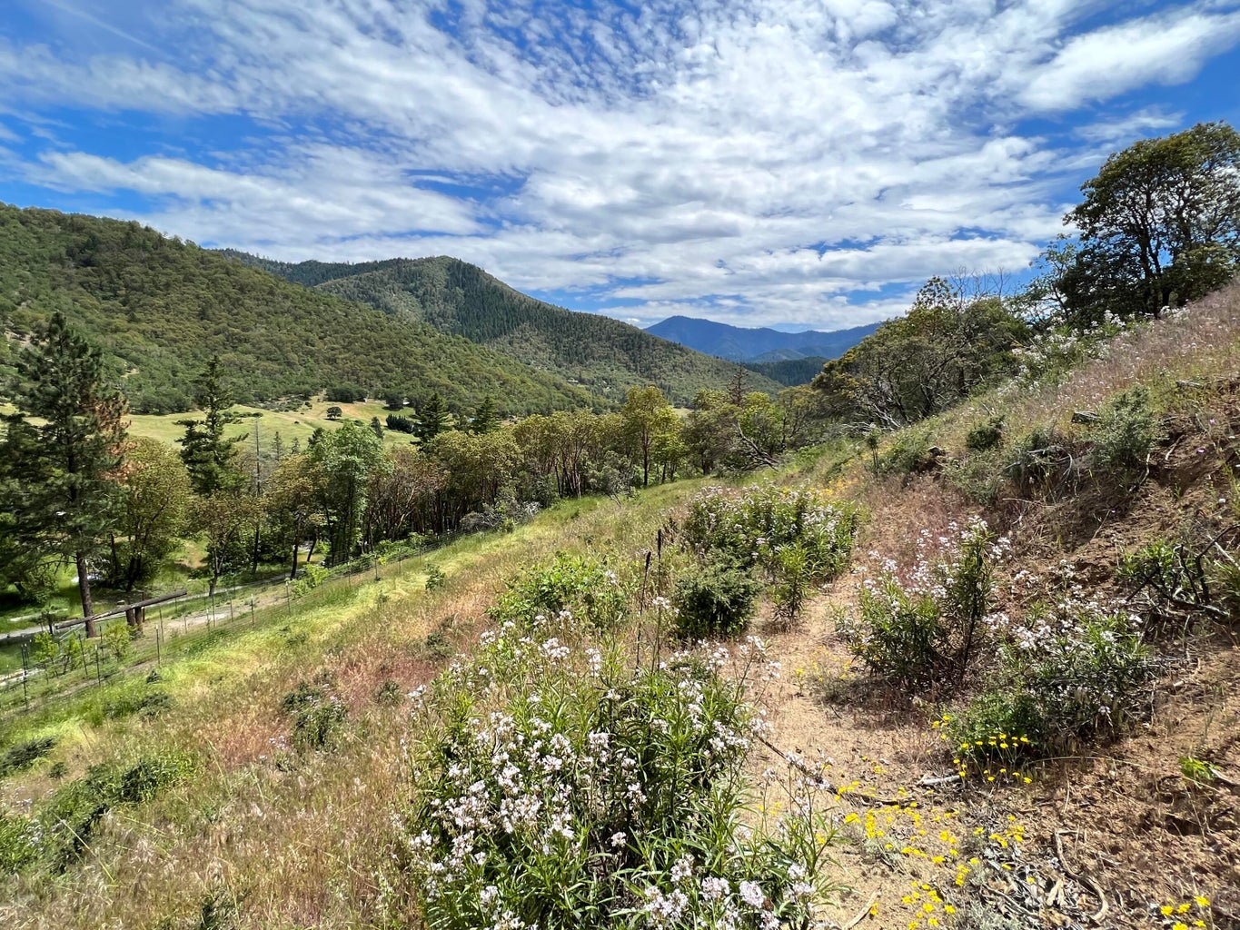 20250720235824313027000000-o