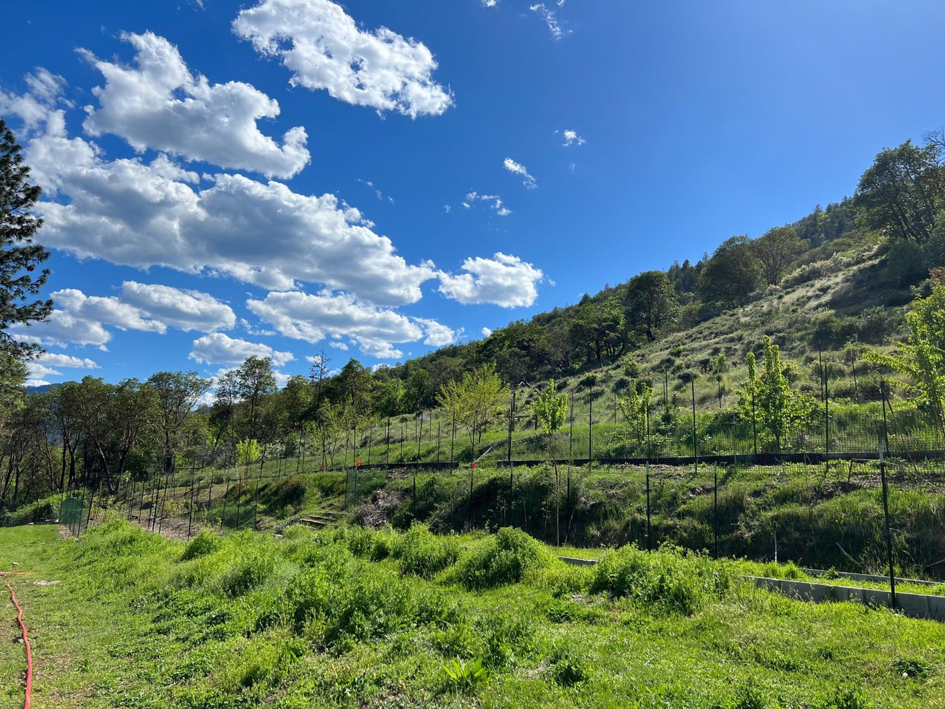 20250721001641209744000000-o